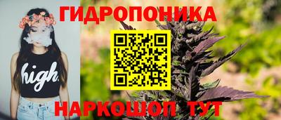 шишки Комсомольск-на-Амуре